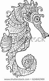 Seahorse Vector Image Coloring Stock Royalty Free 624842900  sketch template