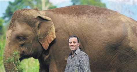 Thailand's elephant dung coffee - Daily Sabah