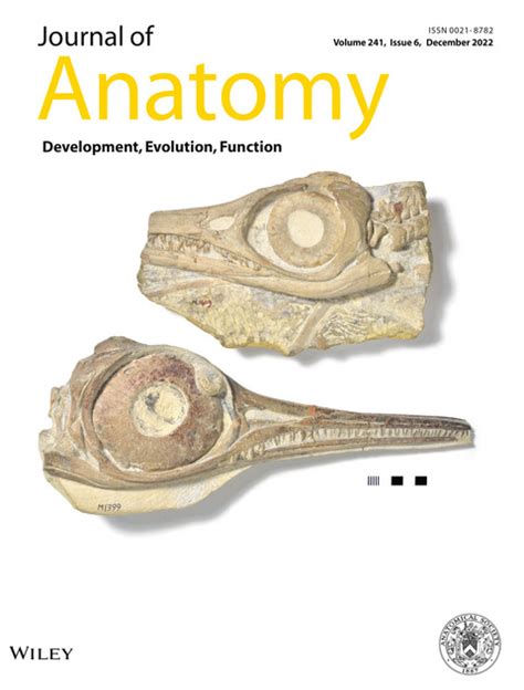 Journal of Anatomy: Vol 241, No 6