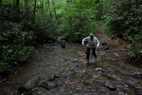 Chattahoochee National Forest | Raven About The Parks | Raven About The ...