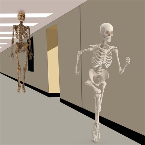 Old floating skeleton chasing new skeleton for spooktober. MEME GENERATOR TEMPLATE - SoupMemes