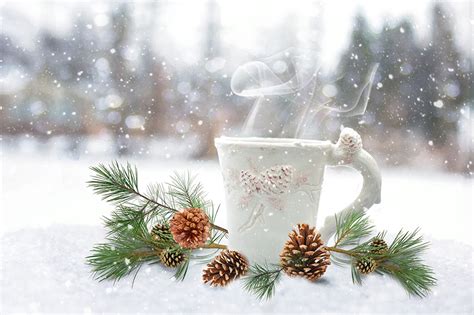 Desktop Wallpapers Winter Snow Mug Vapor Branches Conifer cone