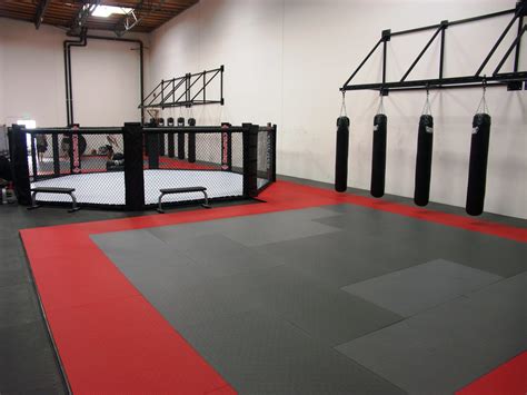 Zebra Training Series MMA Cages - Zebra Athletics