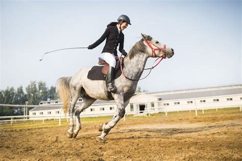 Effective Use of Whips and Crops in Horseback Riding