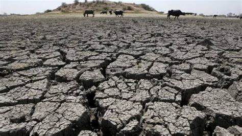 Only 3 per cent water left in drought-hit Marathwada dams - India Today