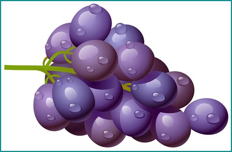 Download HD Grapes Vector One - Grape Clipart Png Transparent PNG Image ...