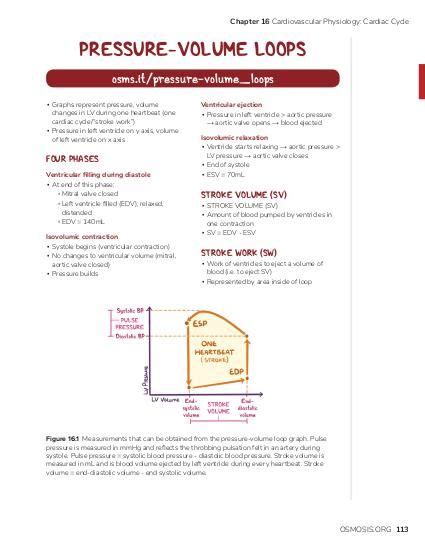 Pressure-volume loops: Video, Causes, & Meaning | Osmosis