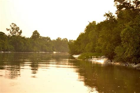 Sundarbans (West Bengal) - All You Need to Know BEFORE You Go