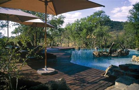 Madikwe Game Reserve - WhereTo?