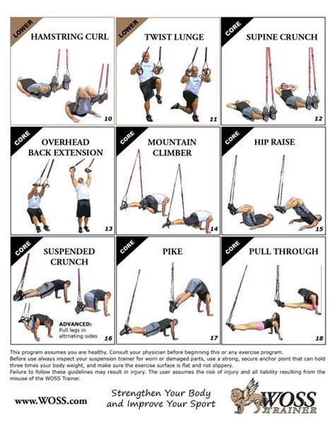 TRX Training | Trx workouts routine, Trx workouts, Trx training