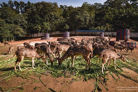 Bangladesh National Zoo | tanjilphotographybd@gmail.com | In… | Flickr