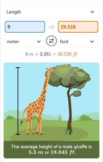 Flexi answers - How many feet is 9 meters? | CK-12 Foundation