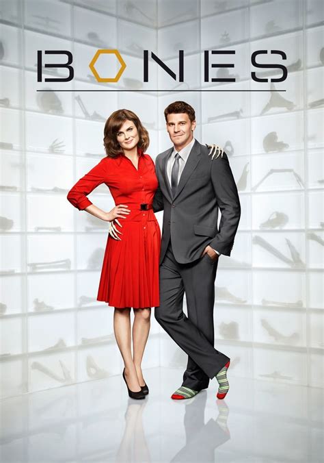 Bones Season 6 - watch full episodes streaming online