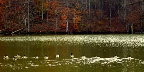 Autumn Cove Photograph by Karen Wiles