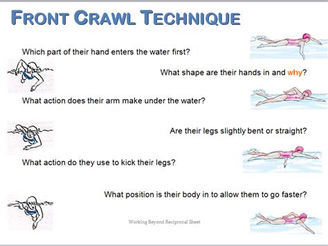 Front Crawl Technique | Teaching Resources