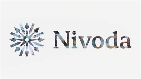 Nivoda on LinkedIn: Working at Nivoda