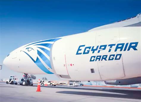 EgyptAir takes first 737NG freighter | Cargo Facts