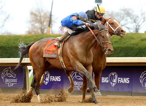 Cody's Wish Archives - TDN | Thoroughbred Daily News | Horse Racing News, Results and Video ...