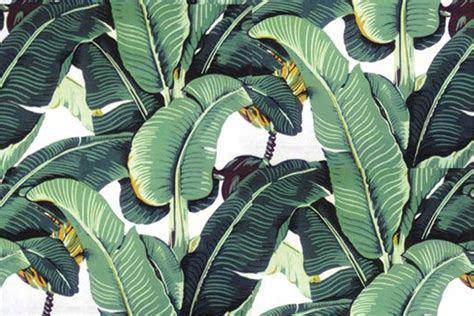 🔥 [50+] Banana Leaves Wallpapers | WallpaperSafari