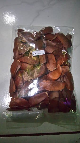 Jual Buah Mahoni kering di Lapak LIA_78store | Bukalapak