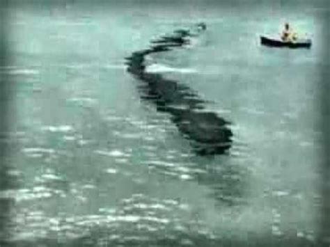 Mysteries Science Can’t Explain - The Hook Island Sea Monster Real or Fake? | Mystery science ...