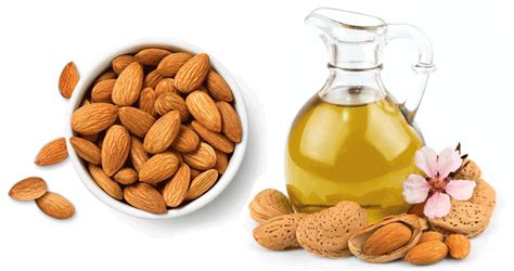 Defining the Difference Between Sweet & Bitter Almonds - Healthy World