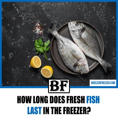 How long does fresh fish last in the freezer? - Breezer Freezer