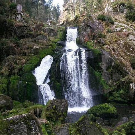 Triberg Waterfalls in the Black Forest Triberg, Black Forest, Waterfalls, Instagram Posts ...