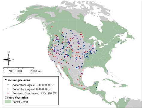 Mapping the expansion of coyotes (Canis latrans) across North and ...