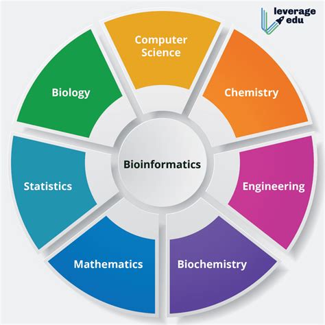 Bioinformatics - Leverage Edu