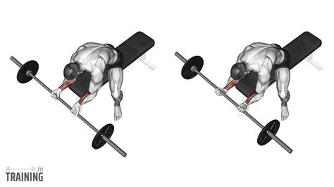 Barbell Reverse Wrist Curls - Instructions, Information & Alternatives ...