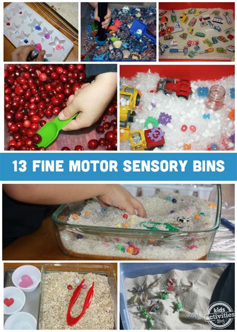 13 Sensory Bins to Develop Fine Motor Skills | Sensory bins, Fine motor ...