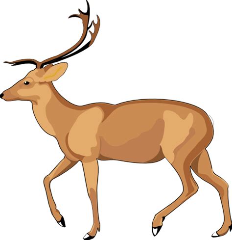 Download High Quality Nature clipart deer Transparent PNG Images - Art ...