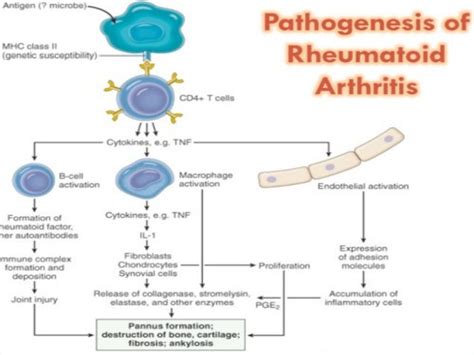 BIOLOGICS IN RHEUMATOID ARTHRITIS