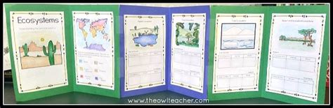 10 Ecosystem Project Ideas - The Owl Teacher