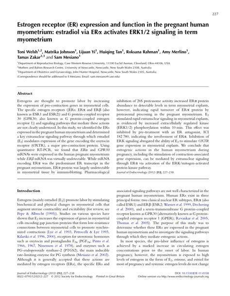 (PDF) Estrogen receptor (ER) expression and function in the pregnant human myometrium: Estradiol ...