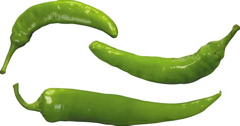 Green Pepper Png Image Transparent HQ PNG Download | FreePNGImg