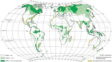 Freshwater Wetland Map