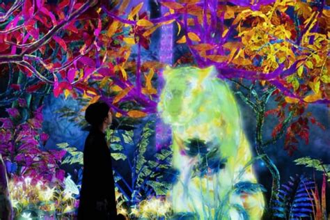 TeamLab Forest Fukuoka - Japan Web Magazine