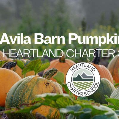 Avila Valley Barn pumpkin patch-Heartland Charter School, Avila Valley Barn, San Luis Obispo ...