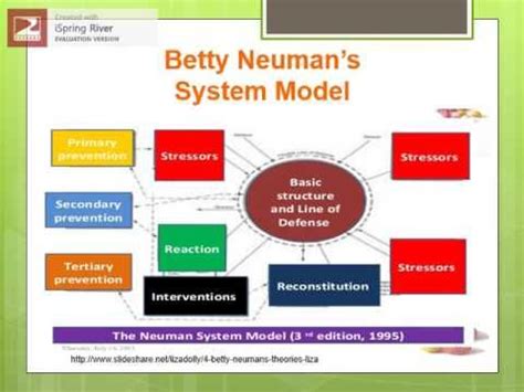 Image result for betty neuman systems model | System model, System, Theories