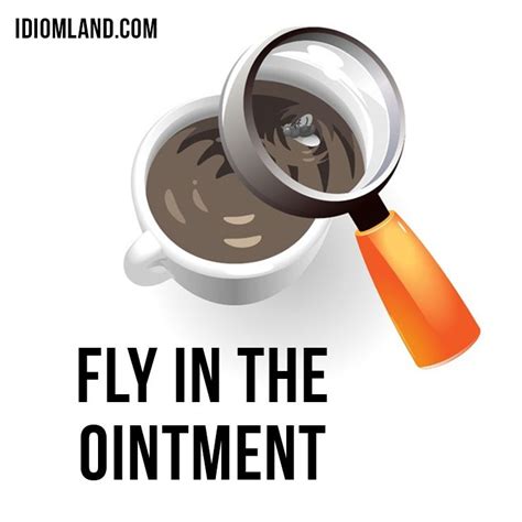 Hello everybody! Our #idiom of the day is “Fly in the ointment“, which means “someone or ...