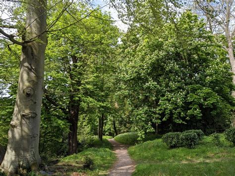 Path at the Weir Garden © Fabian Musto :: Geograph Britain and Ireland