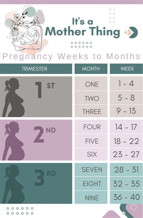 Calendar Of Pregnancy Trimesters - Yetty Katharyn