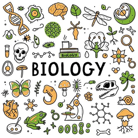 Premium Vector | Biology doodle set Collection of hand drawn elements science biology isolated ...