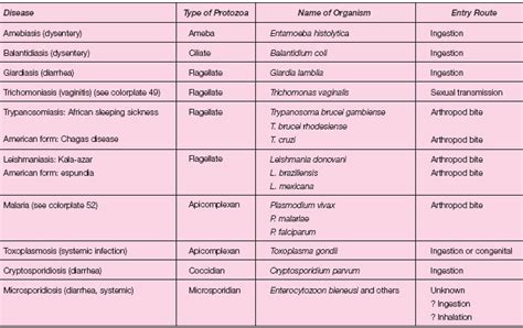 Protozoa and Animal Parasites | Microbial Pathogens Requiring Special ...