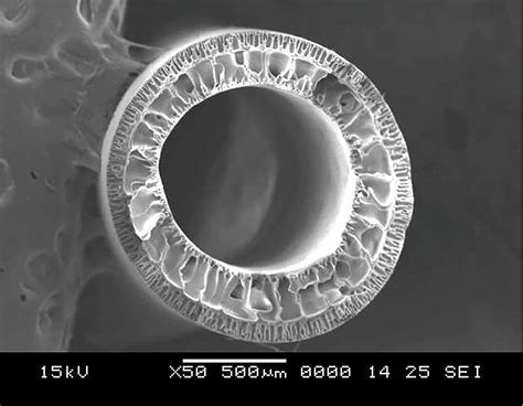 Development of Advanced Hollow-fibre Membrane modules - NYU Abu Dhabi