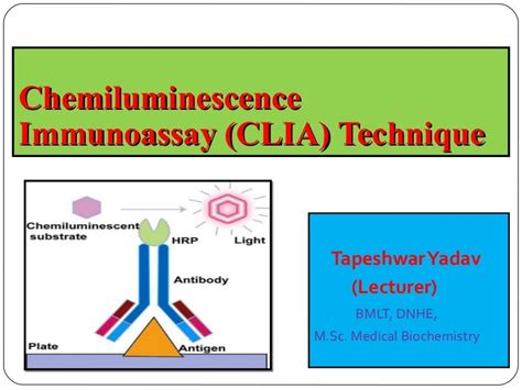 Chemiluminescence Immunoassay Principle