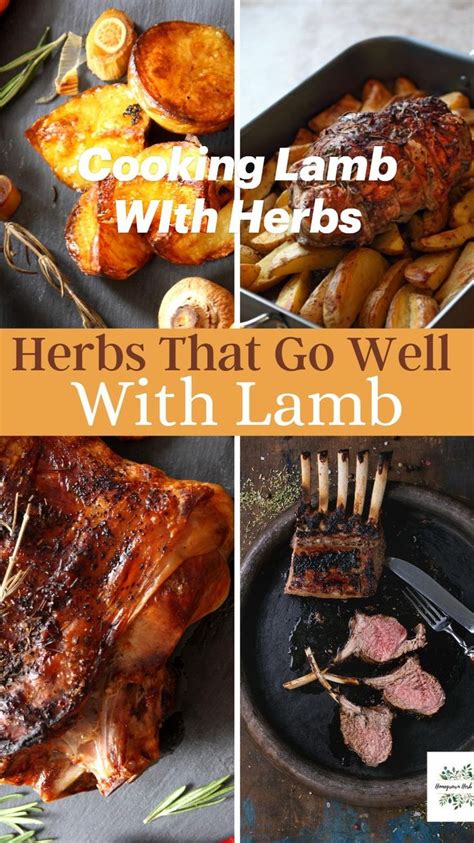 Cooking Lamb WIth Herbs | Lamb recipes, Healthy recipes, Dinner recipes