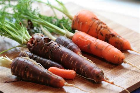 CARROT FLY RESISTANT CARROT VARIETIES |The Garden of Eaden